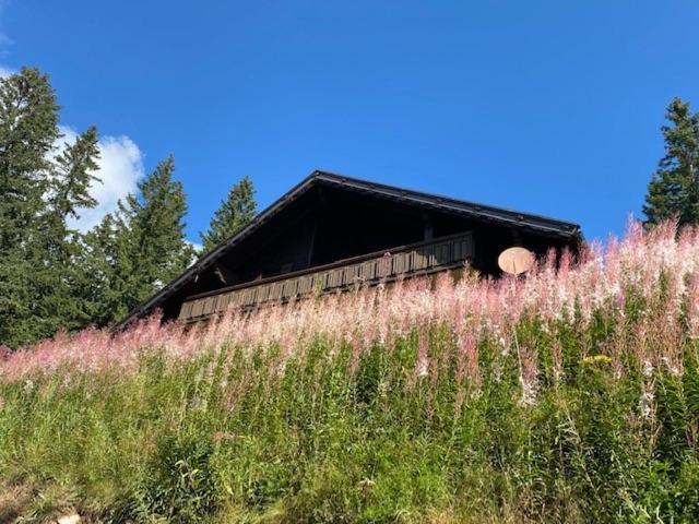 Sweet Home Klippitztoerl Bad Sankt Leonhard im Lavanttal Esterno foto